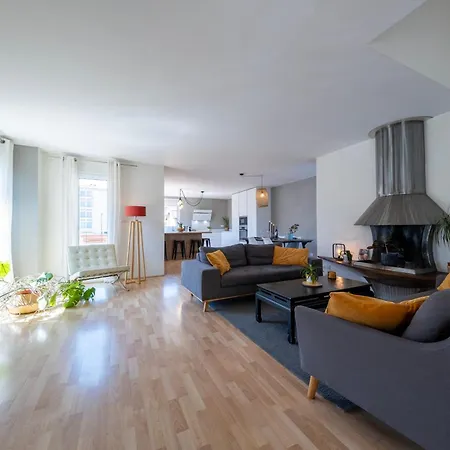 Lumière Toulousaine - Duplex Climatisé Appartement