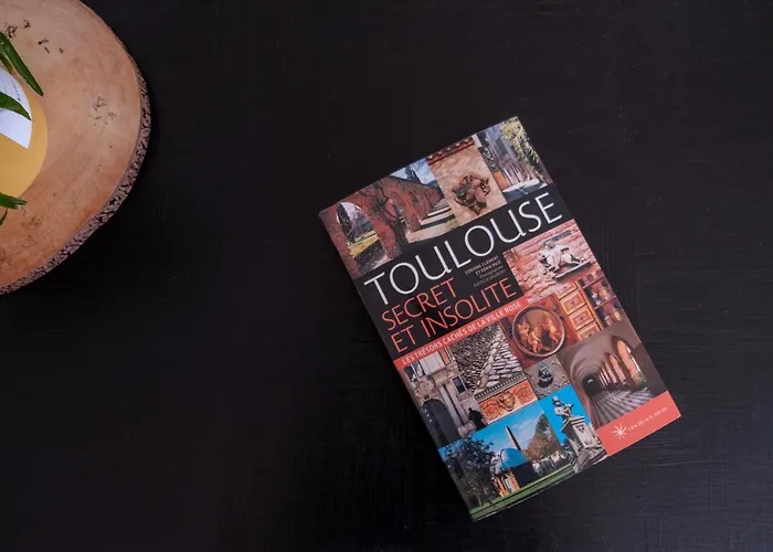 Lumiere Toulousaine - Duplex Climatise Lejlighed Toulouse