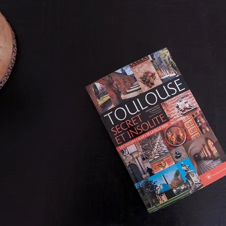 Lumiere Toulousaine - Duplex Climatise Διαμέρισμα Τουλούζη